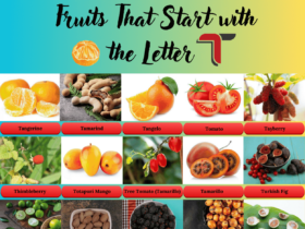 Fruits that start with T