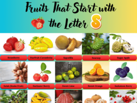 Fruits that start with the letter S