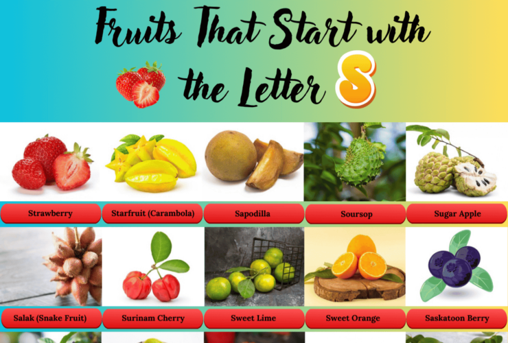 Fruits that start with the letter S