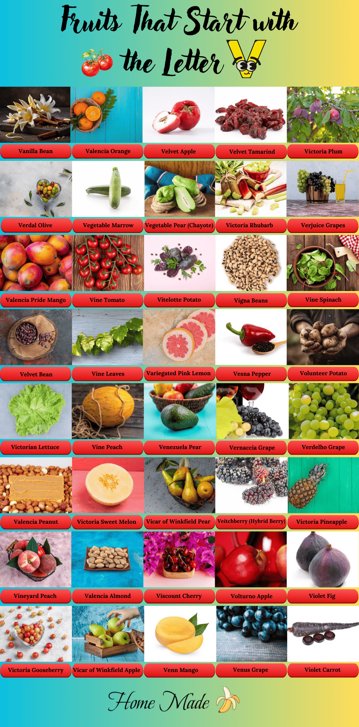 Fruits that start with v