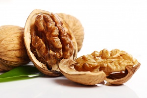 Pecan Fruit