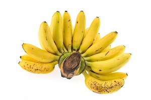 Queen Banana