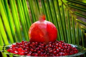 Queen Pomegranate