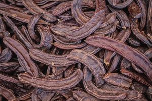 Queen’s Carob Fruit