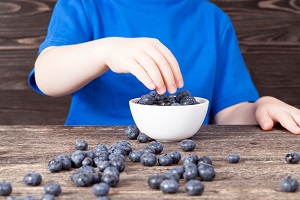 Quickberry (Early-ripening blueberry)