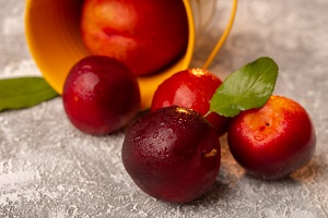 Quickcherry Plum