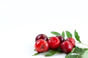 Red Chokeberry