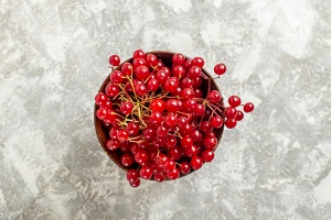 Red Currant