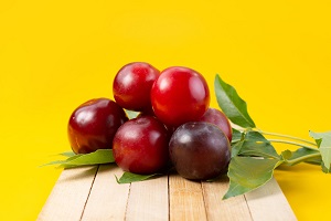 Red Wild Plum