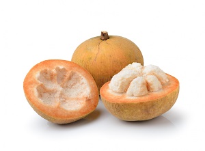 Santol