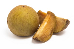 Sapodilla