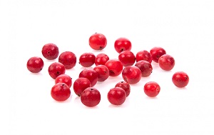 Schisandra Berry