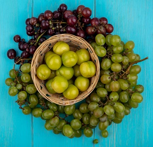 Scuppernong Grapes