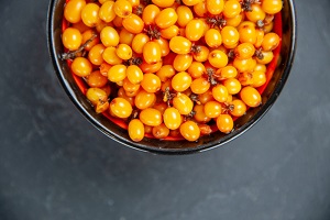 Sea Buckthorn