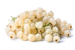 Snowberry