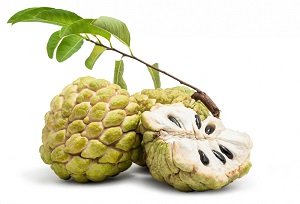 Sugar Apple