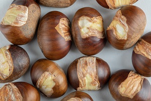 Tahitian Chestnut