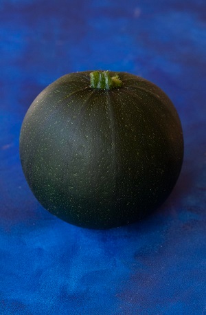 Tatume Squash