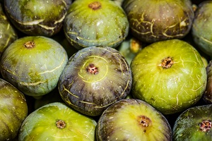 Travancore Palm Fruit