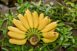 Uganda Yellow Banana