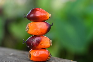 Urava Palm Fruit