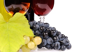 Vernaccia Grape