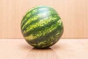 Verona Watermelon