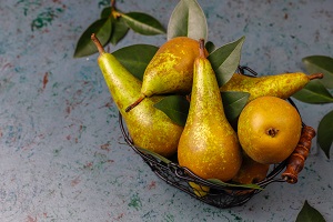 Vicar of Winkfield Pear