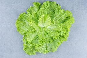 Victorian Lettuce