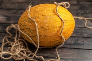 Vine Peach (Cucumis melo var. Chito)