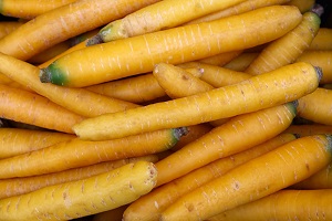 Yellow Carrot