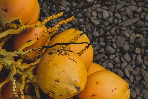 Yellow Coconut