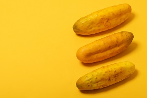 Yellow Cucumber