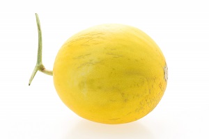 Yellow Honeydew