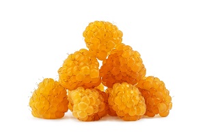 Yellow Mulberry